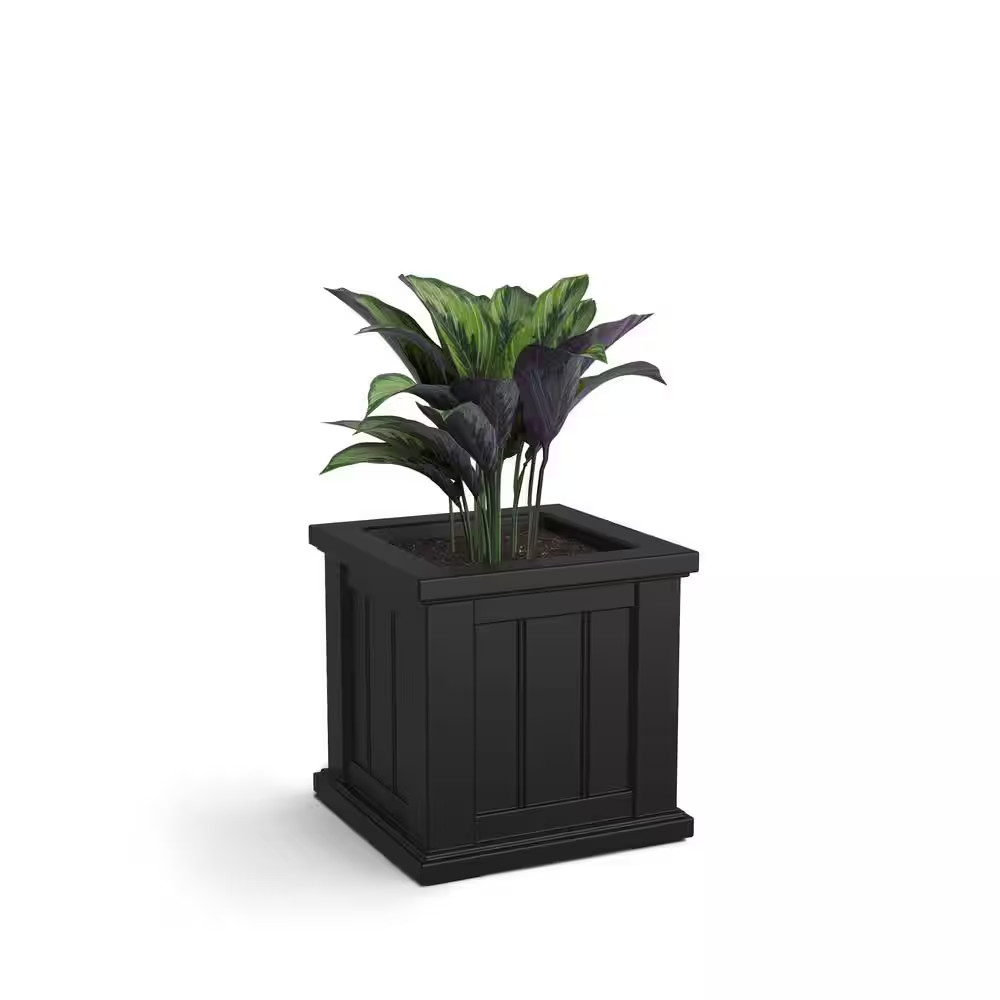 Cape Cod 14 In. Square Self-Watering Black Polyethylene Planter