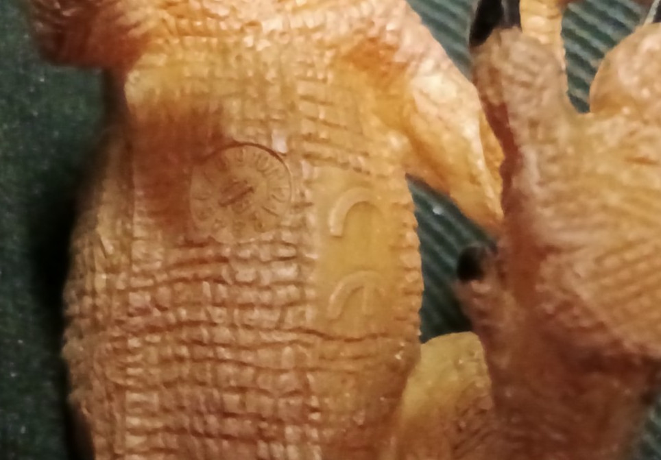 Papo: Archaeopteryx, Amargasaurus, Dilophosaurus