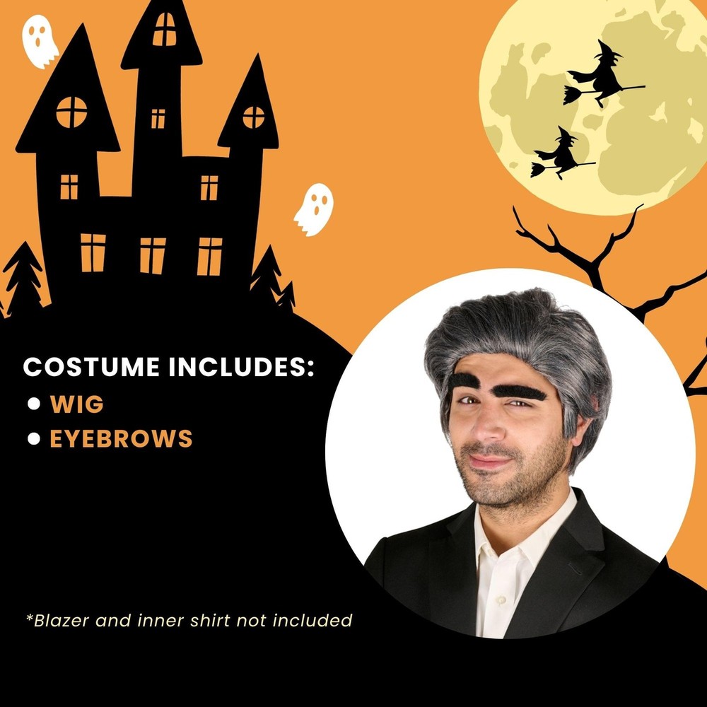 Johnny Wig & Eyebrows Grey Costume Accessory