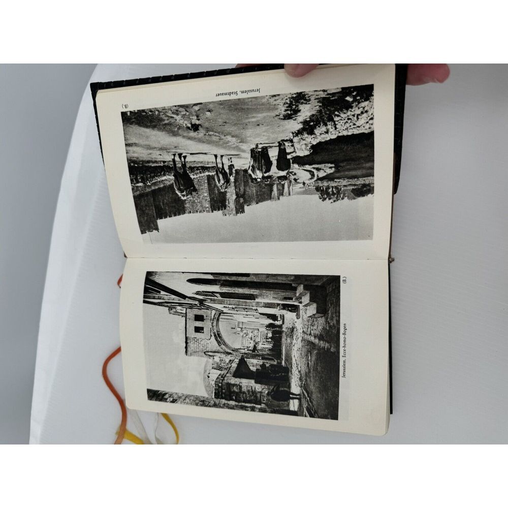 German Bible 1958