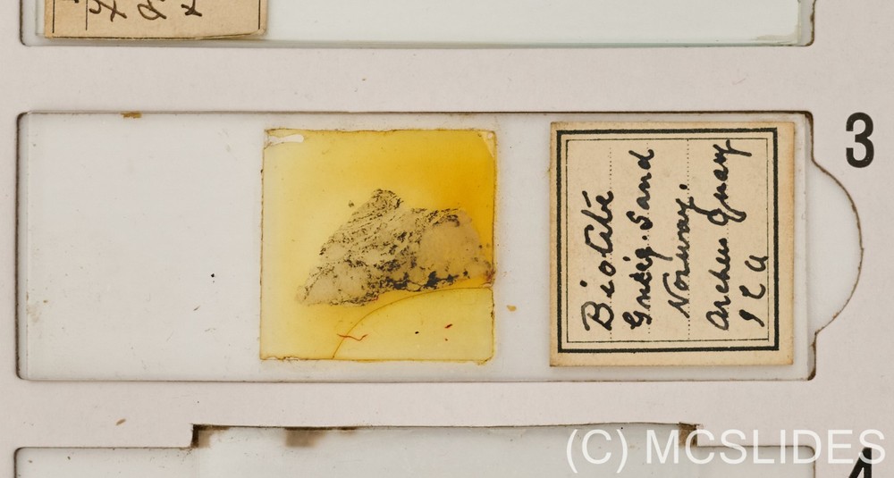 Vintage microscope slide: sandstone thin section from Norway for polarised light