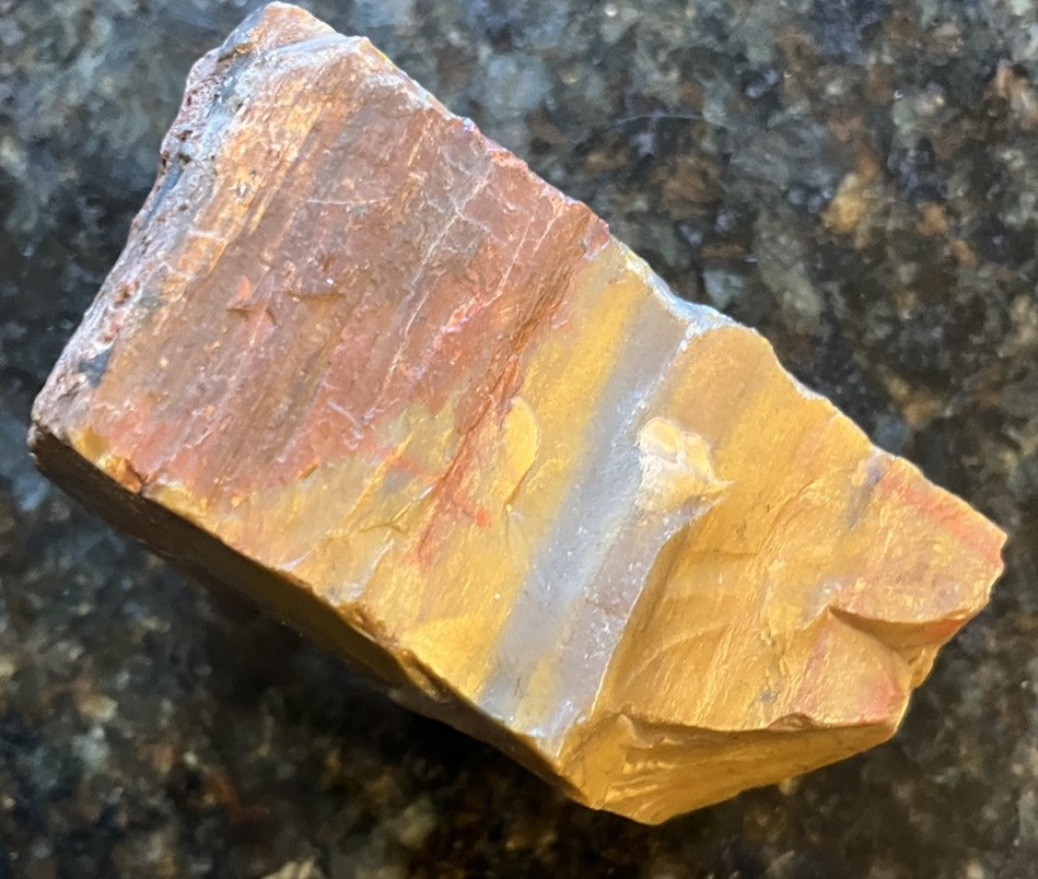 petrified wood rough