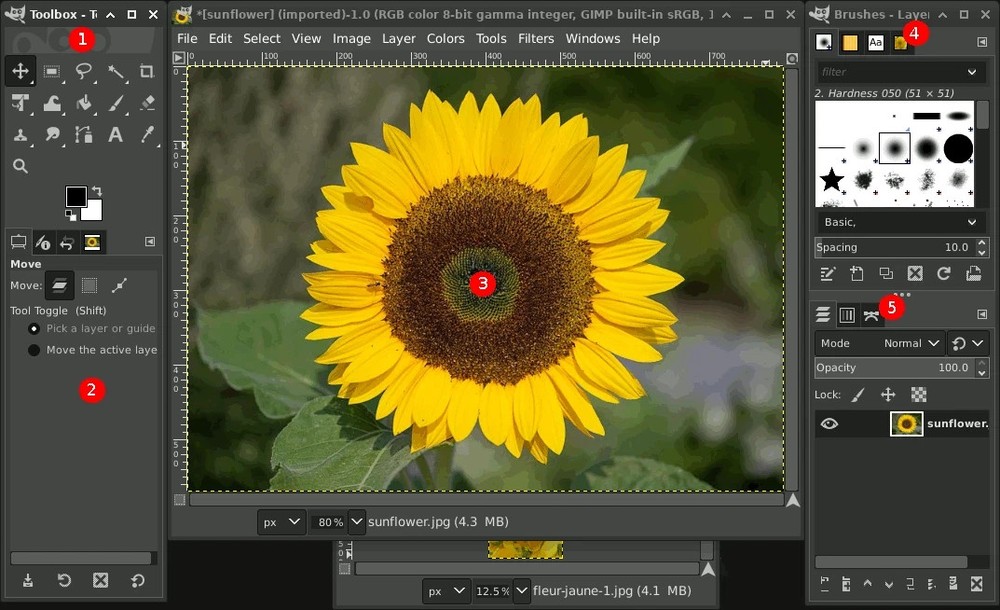 Ultimate Photo Editing Suite for Windows 2026 | Digital Image Editor Software