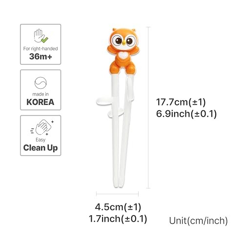 Chopsticks, Training Chopsticks, Learning, Beginner, Brain Training, Owl