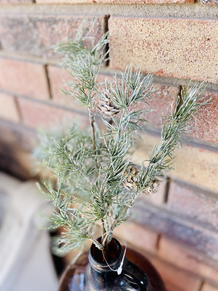 Weeping Pine Spray, 19”
