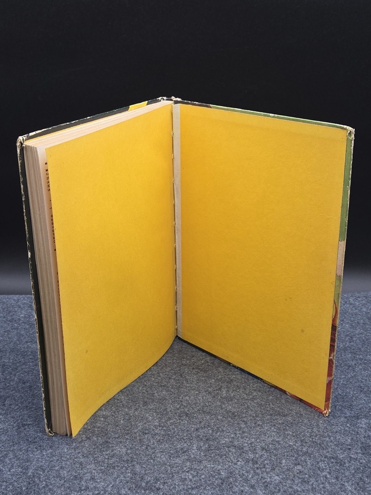 Advanced Dungeons & Dragons Dungeon Masters Guide Hardcover Revised Edition 1979