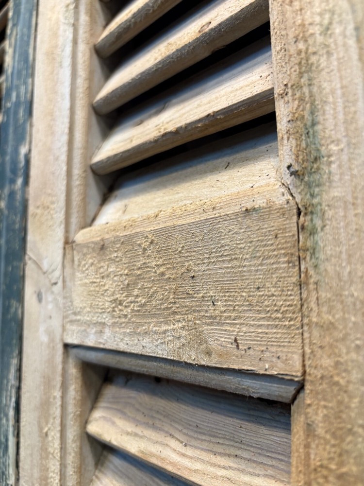 19th Century Bifocal Shutter Pair GS6025