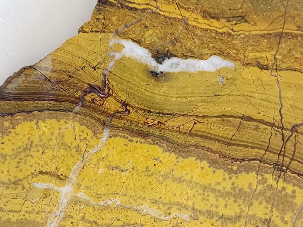 Orbicular Jasper Large Lapidary Slab