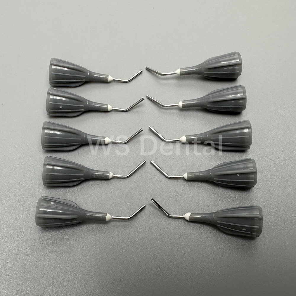 Dental Delivery Tips Flow Composite Resin Conveyor Flowable Syringe Needle Tip