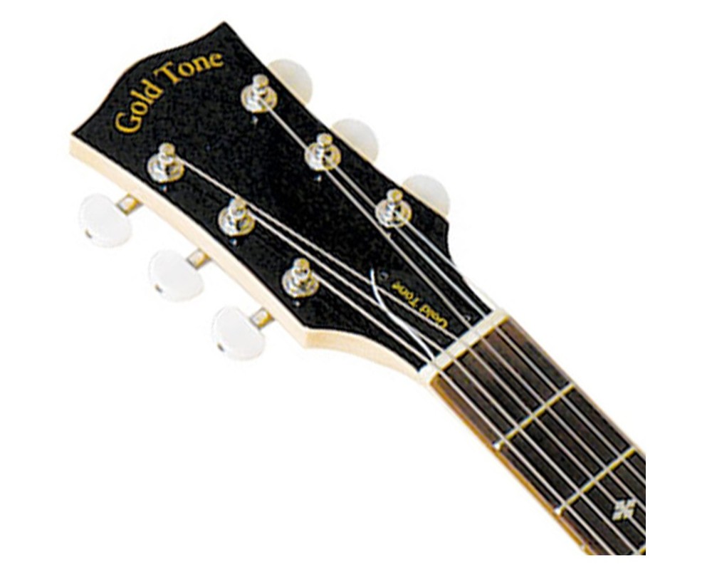 Gold Tone 6-String Banjitar