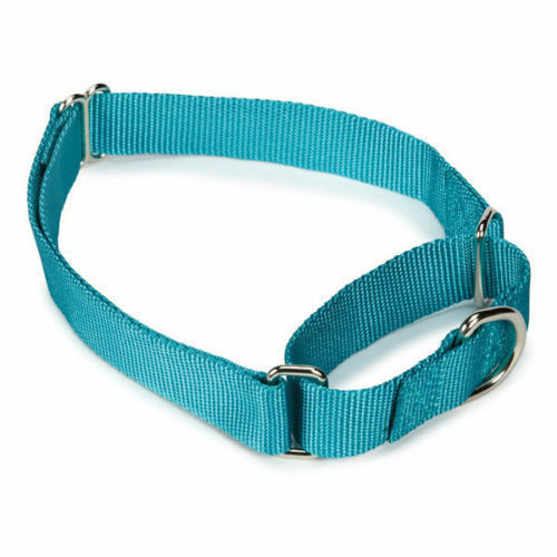 Martingale Dog Collars Adjustable Nylon Choke No Pull Training Pick Color & Size