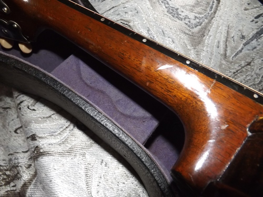 Rare Weymann Mandolute 100yrs old