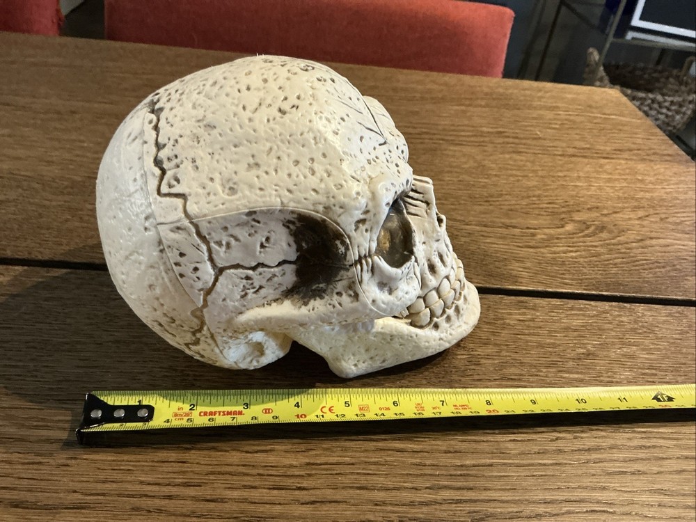 Skull Figurine Halloween Decor Rustic Look