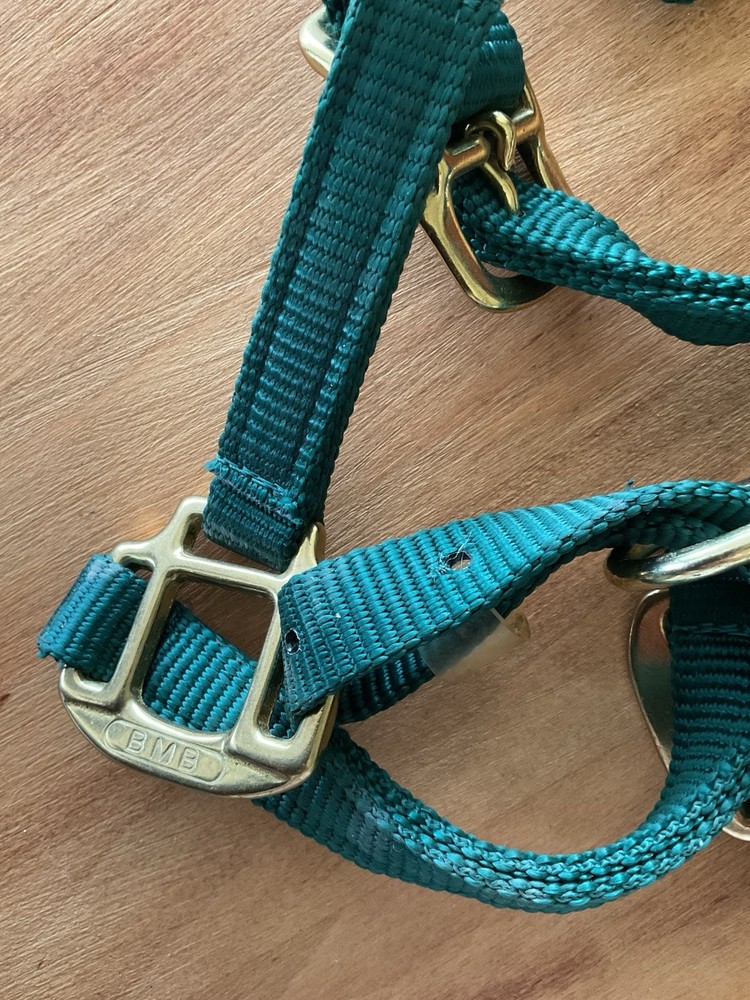 BMB Nylon Foal Halter Green Adjustable Brass Hardware