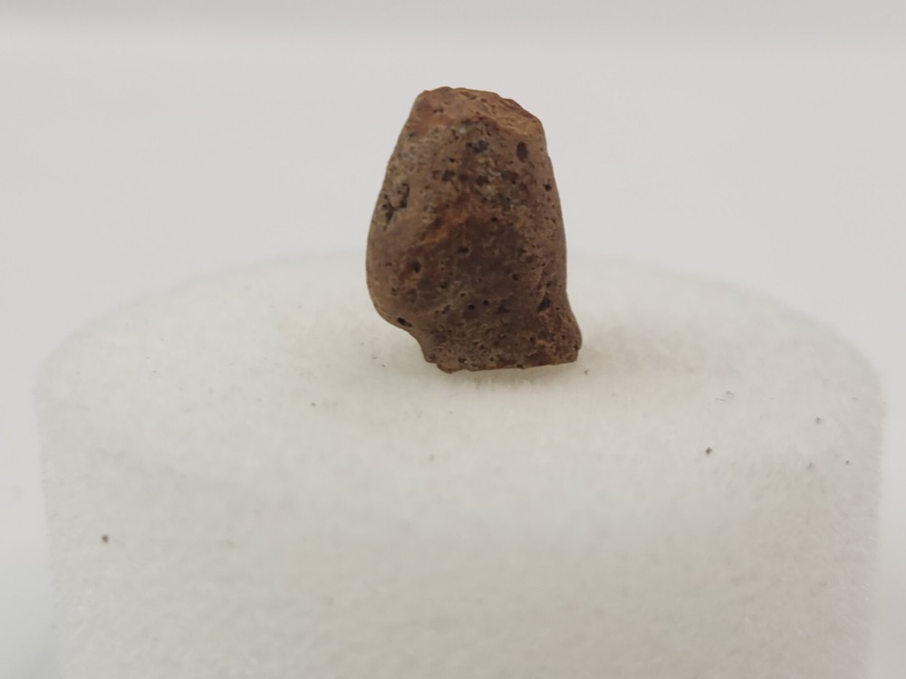 Lance Formation Micro Fossil Pack - Perfect for Teaching / Education - 70 Pieces