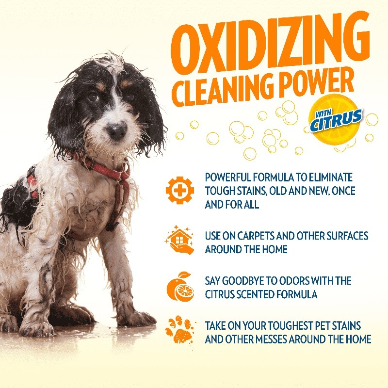 PetCare Oxy Stain Odor Remover Powerful Cleaner Pets Carpets Multi Surface 32oz