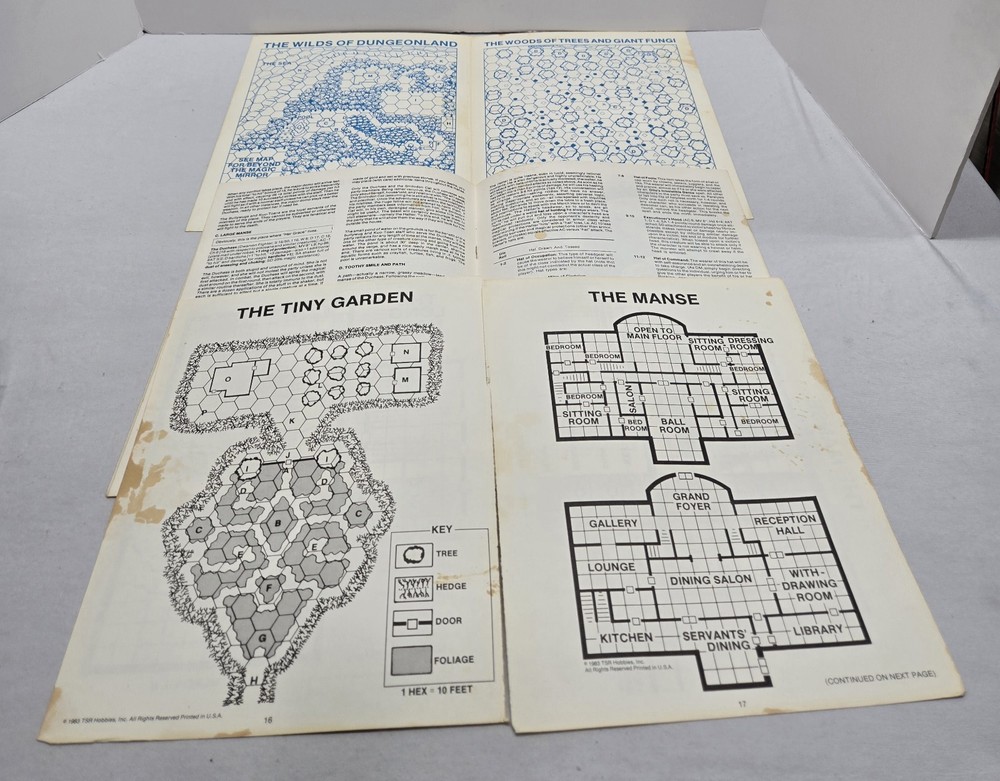 Advanced Dungeons & Dragons - EX1 - Dungeonland - 1983
