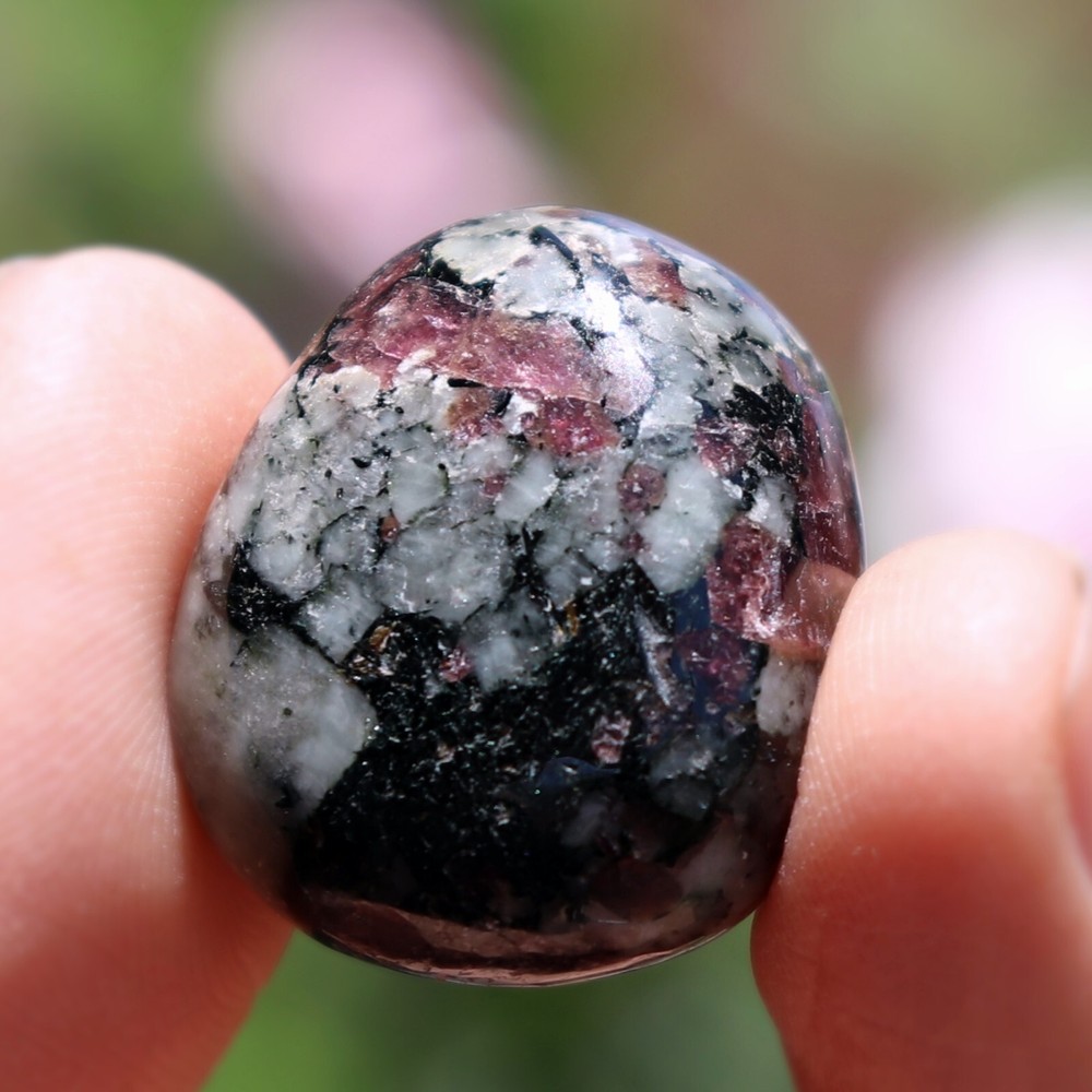 Polished Eudialyte, Fluorescent Mineral (EUD33)