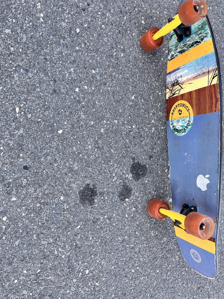 Kryptonics Cruiser Longboard, Skateboard Wheels.35.5"