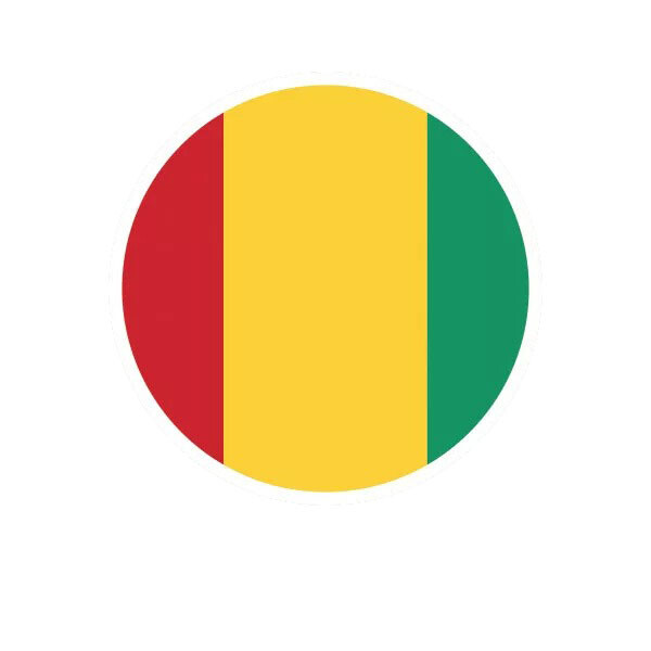 Round Guinean Flag Sticker Decal