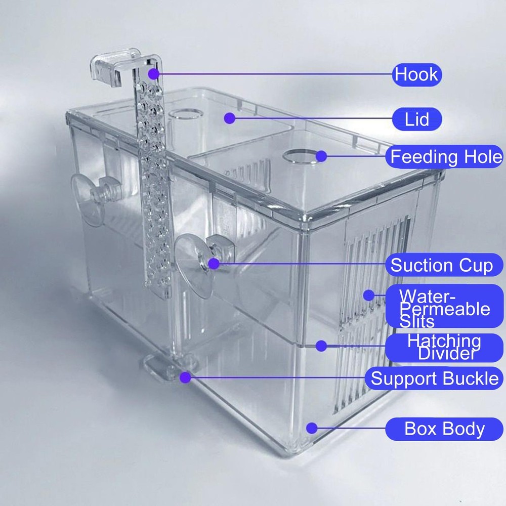 Aquarium Breeder Box Transparent Hatching Container Double-Chamber