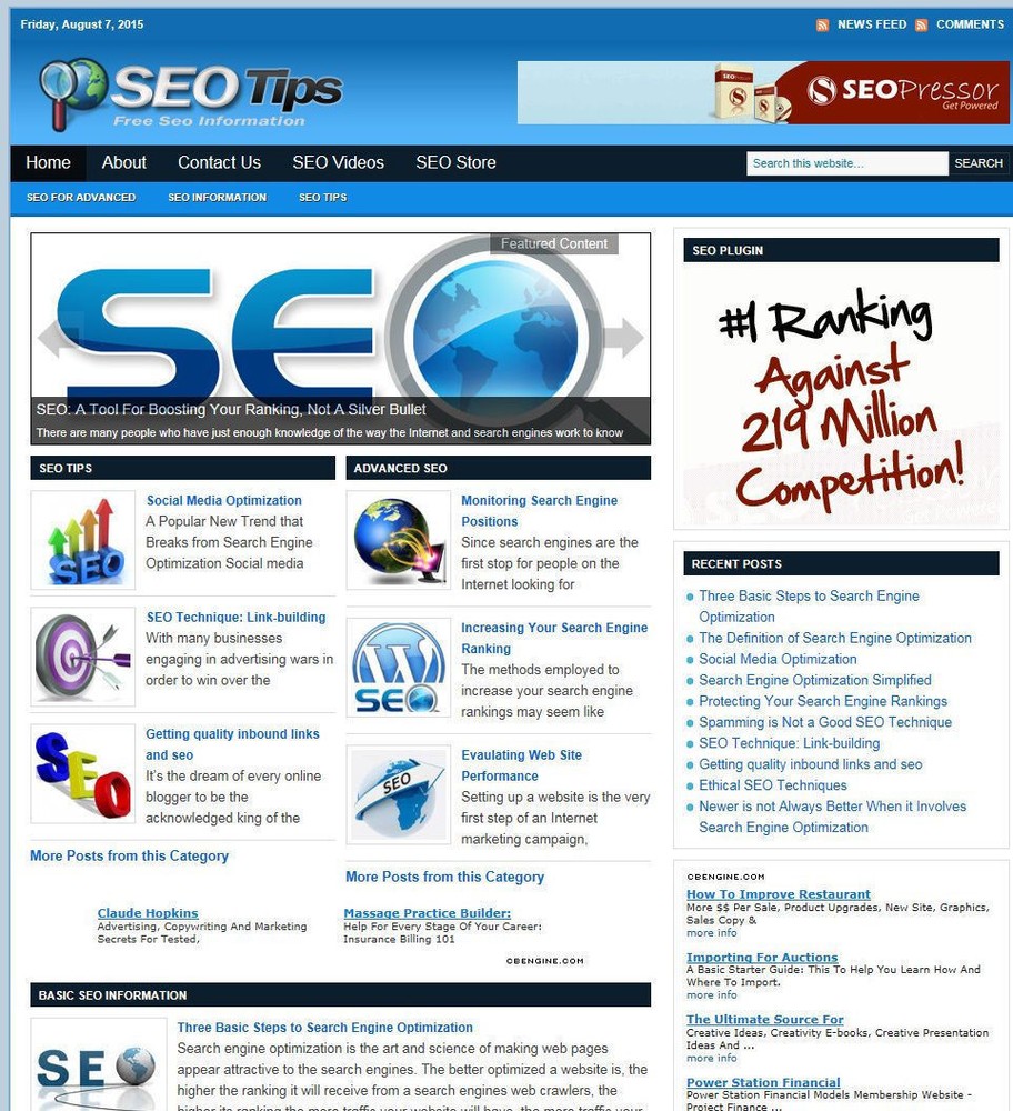 Search Engine Optimization (SEO) Turnkey Website - Affiliate income