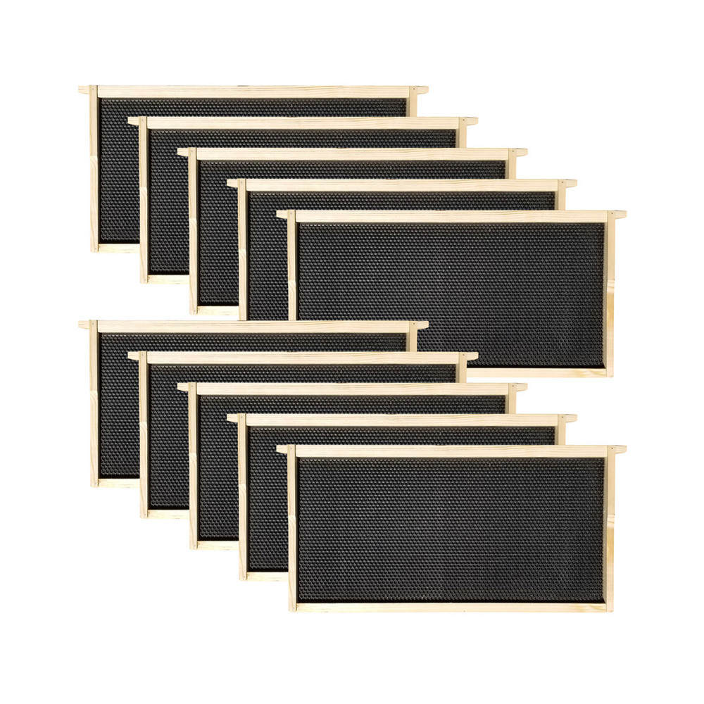 10 Frame Complete Beehive Kit – Amish-Made with 2 Deep & 1 Medium Boxes, Frames