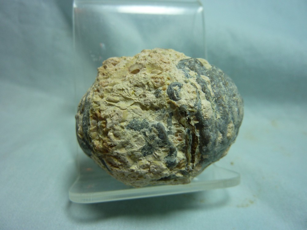 Oregon Thunderegg Rock-3oz