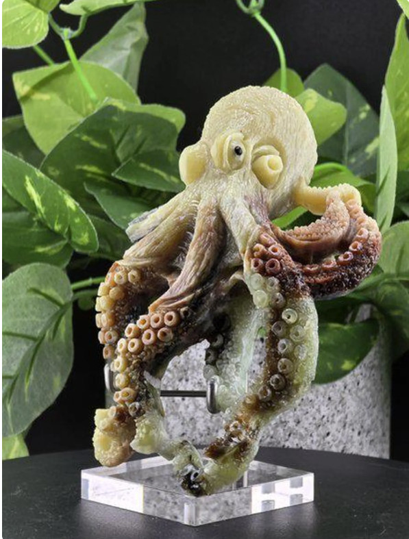 CARVED OCTOPUS AMAZON STONE STATUE SCULPTURE FIGURINE