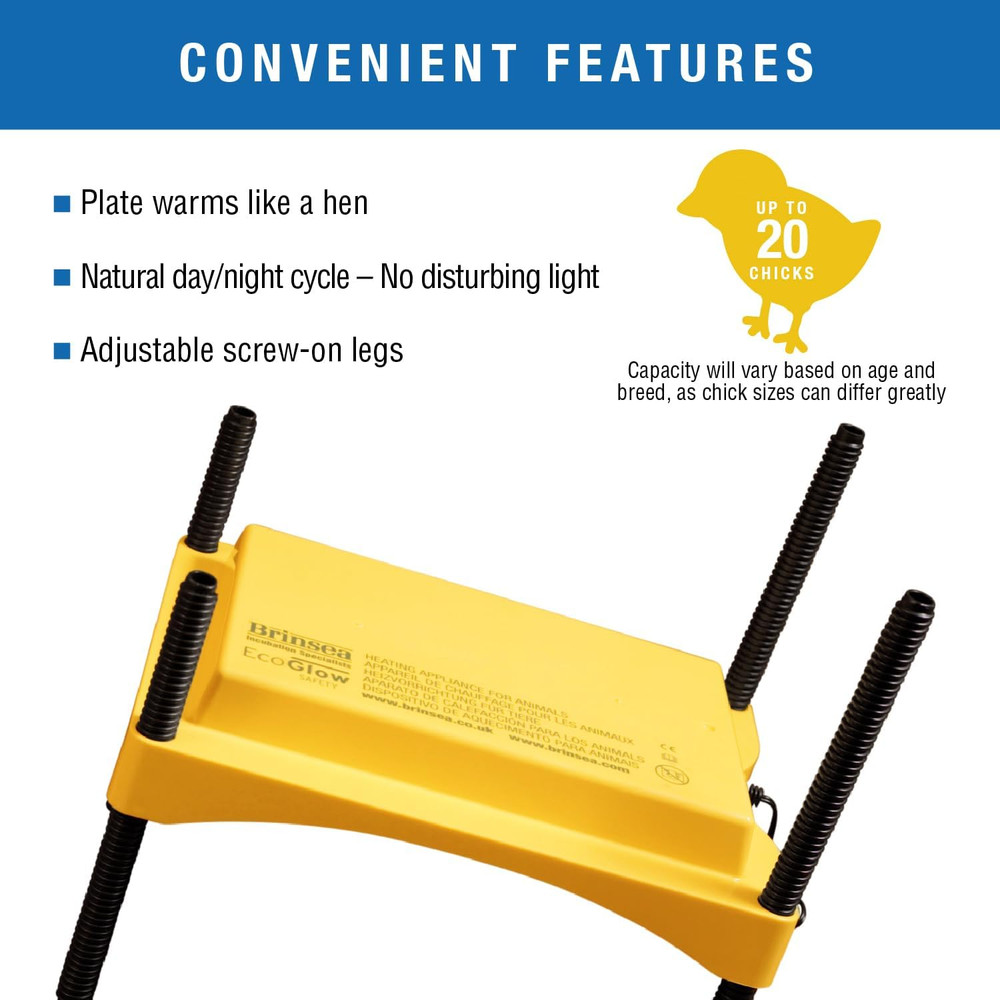 Ecoglow Safety 600 Chick or Duckling Brooder, Adjustable Height & Angle Brooder