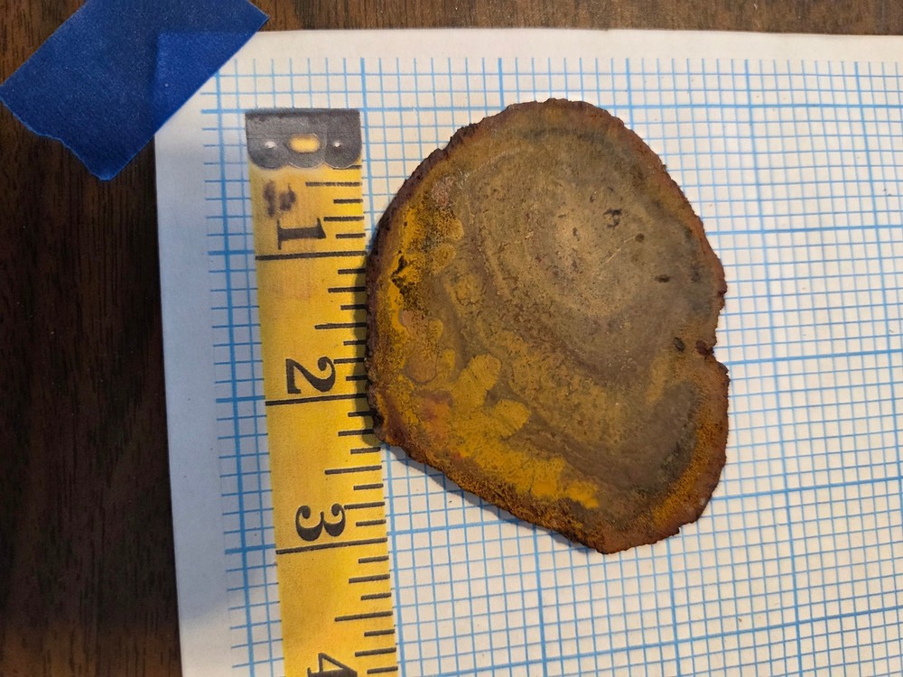 Petrified Wood Slab