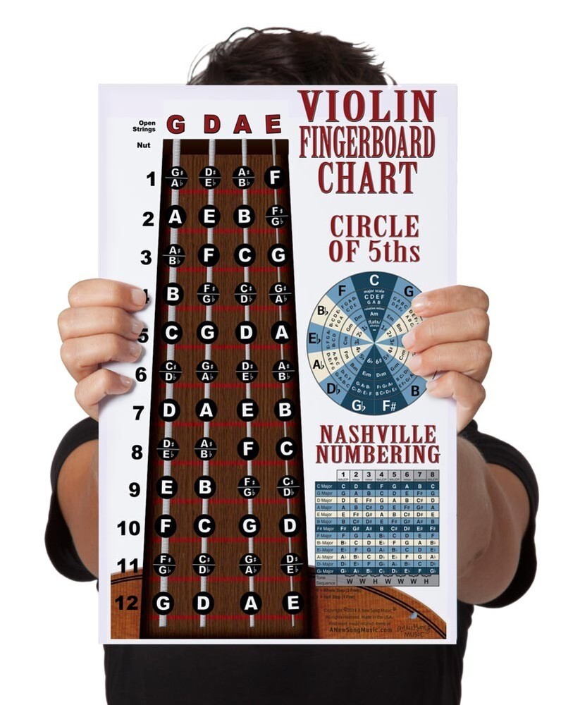 LAMINATED Violin Fiddle Fingerboard Notes Instructional Poster Wall Chart Theory