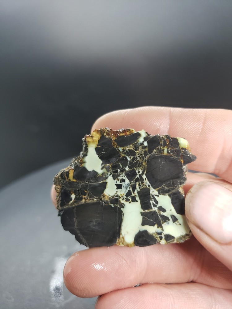 Nevada Gecko Variscite Slabs