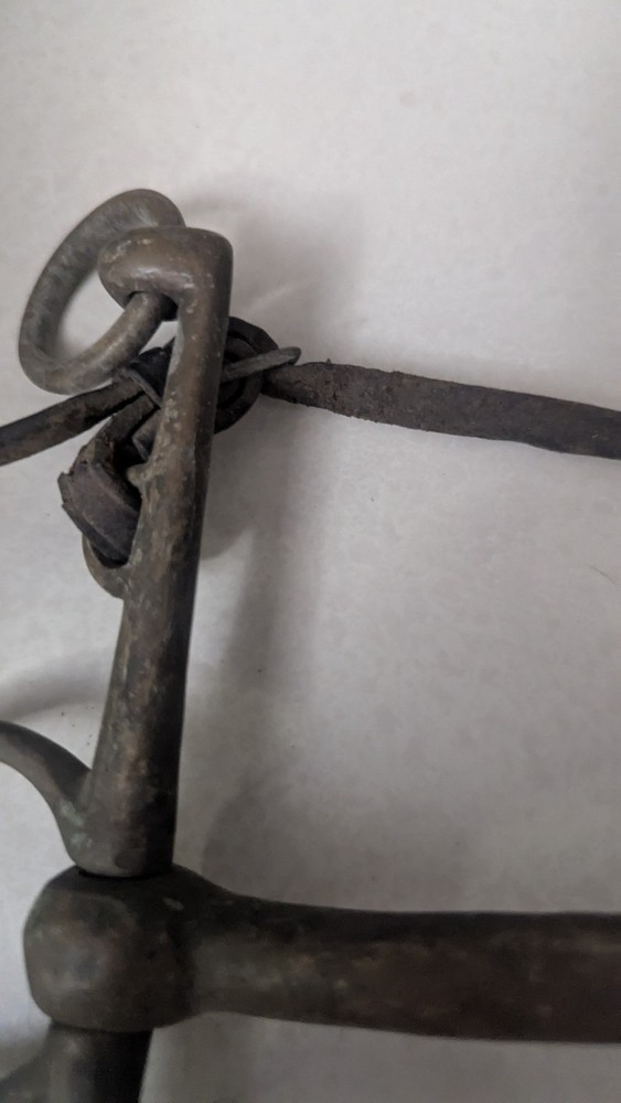 Never Rust Nickel Horse Bit England