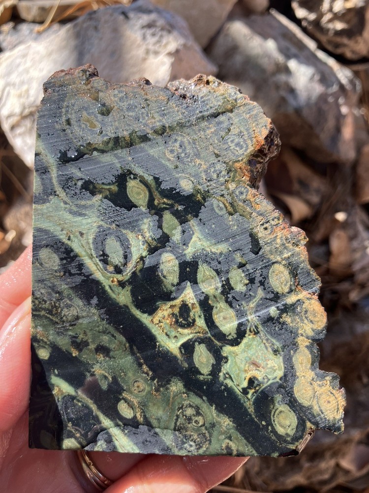 Kambaba Jasper Slab