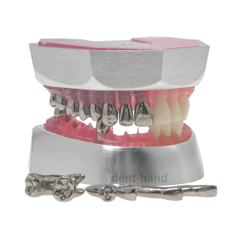 Dental Typodont Preparation Model Detachable 32Pcs Teeth for Training M8028