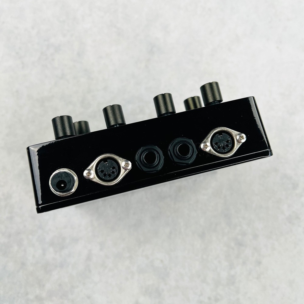 Pigtronix Echolution 2 Delay Pedal 2010s - Black