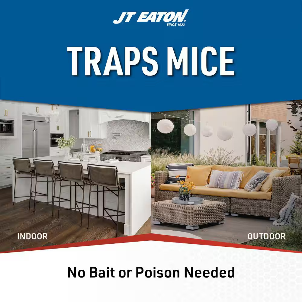 Repeater Low Profile Multi-Catch Mouse Trap Clear Inspection Window (12-Pack)