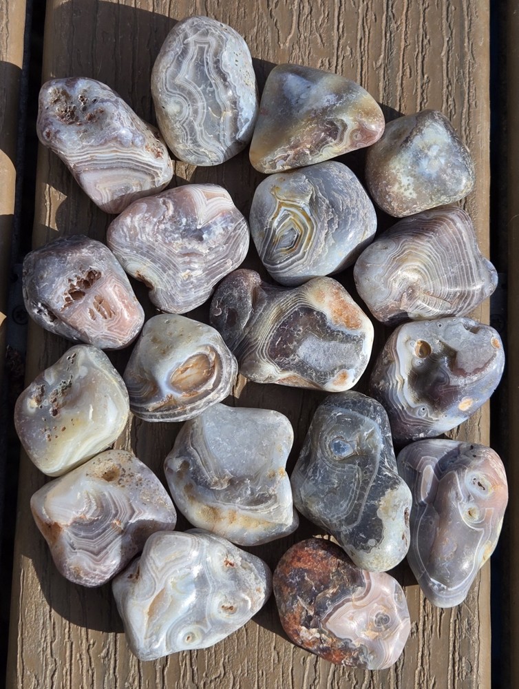Botswana Agate Selects - WILD ONES - Rough, Natural, Not Polished A+ Grade