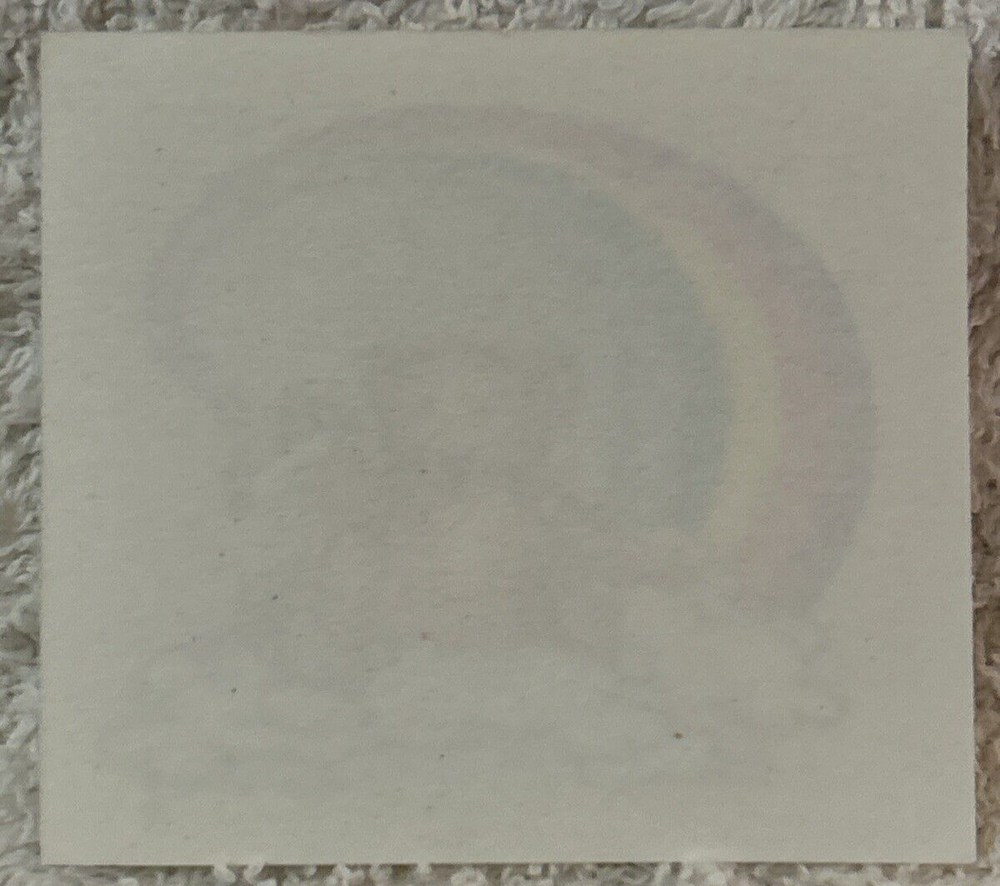 Bear In A Cloud with A Rainbow STICKER
