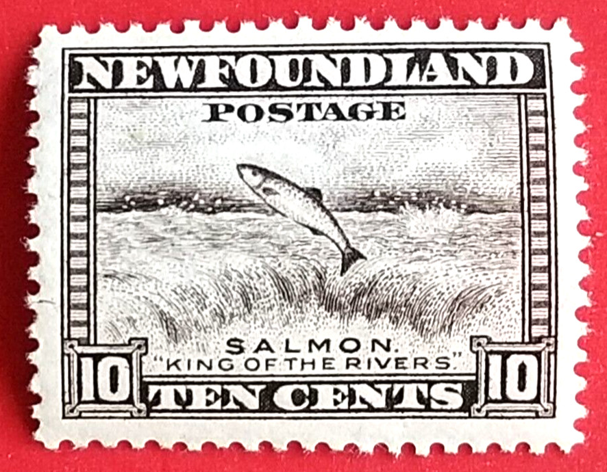 Canada Newfoundland #193 Perkins Bacon Printings - Salmon Leaping MNH