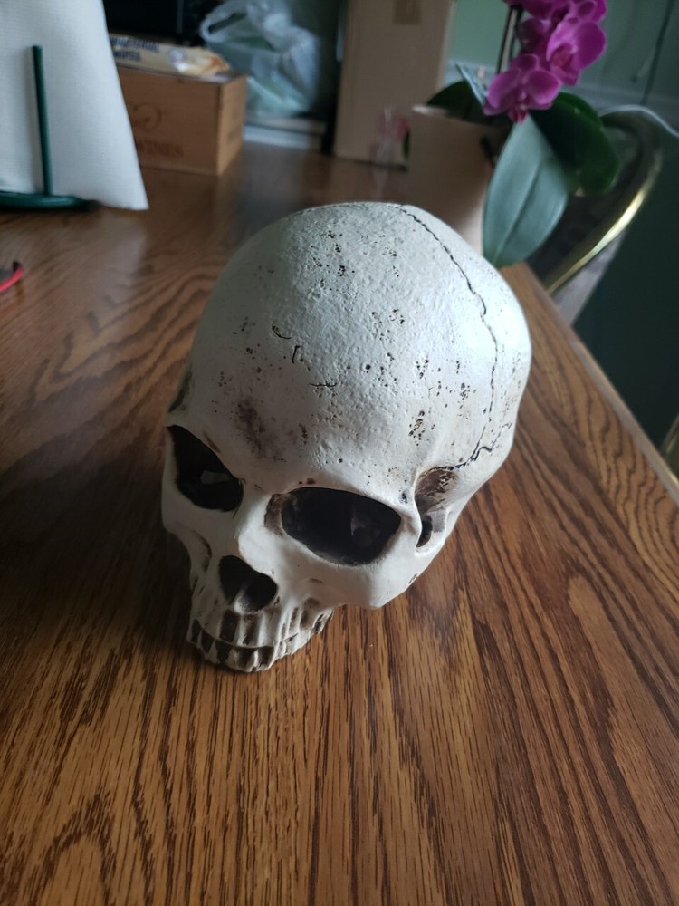 Human Skull Upper Section 3D Printed Novelty Hand Crafted In China New