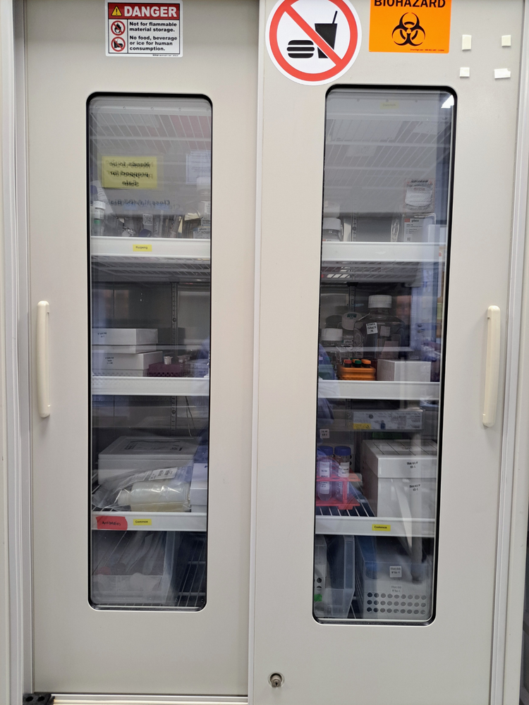 Forma Scientific 3684 Double Sliding Door Lab Refrigerator