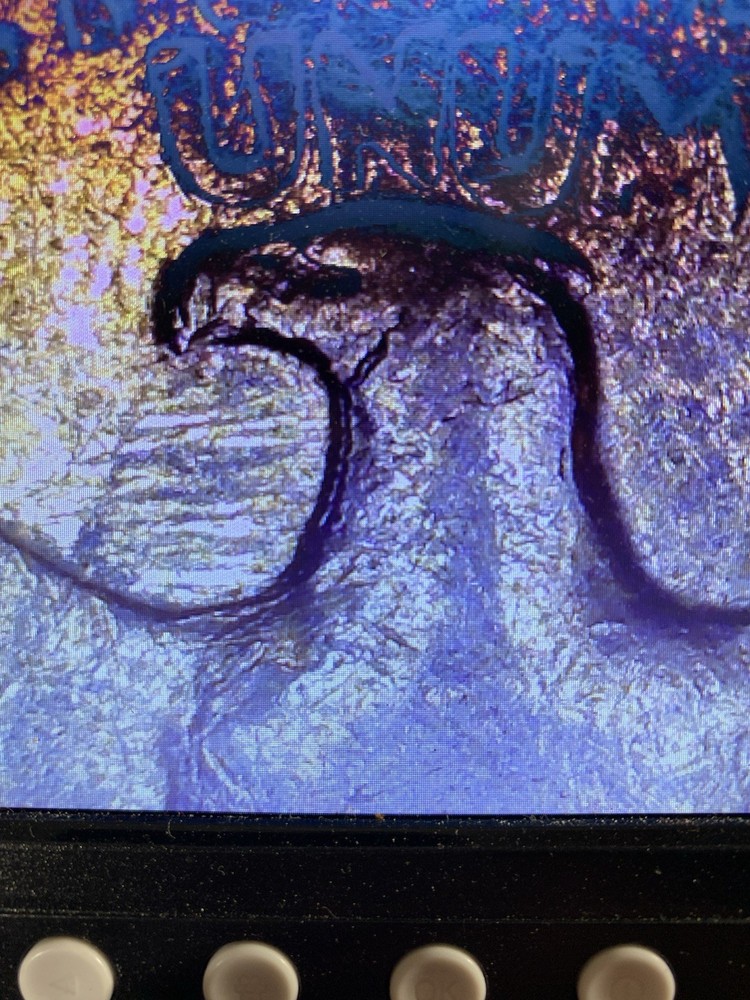 🔥1987 P Washington Quarter With Multiple Double Die Errors🔥