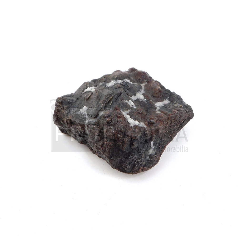 BEACON 23 Aster Scrapes Rock Original Prop (0816-4731)