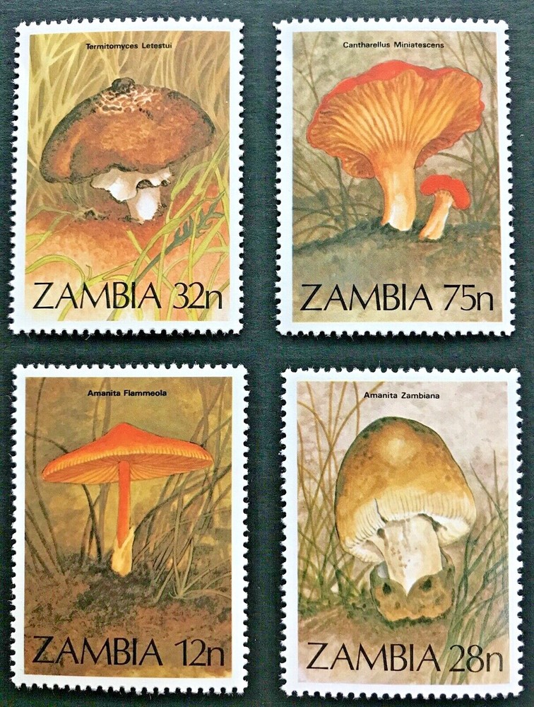 Zambia #315-18 Mushrooms MNH