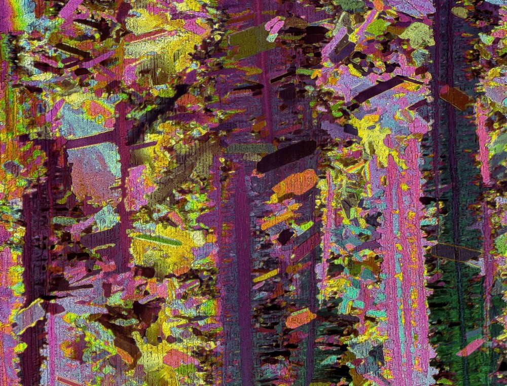 Microscope slide for polarization, AMMONIUM THIOCYANATE