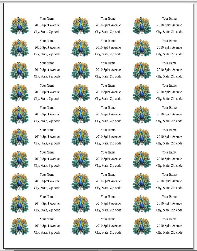 150 Peacock Pretty Colorful Return Address Labels Personalized Printed