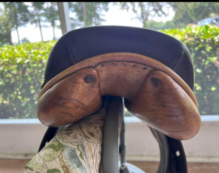 16.5" Butet Saddle