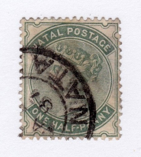 Natal       66           used